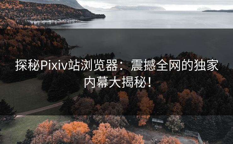 探秘Pixiv站浏览器：震撼全网的独家内幕大揭秘！
