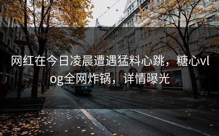 网红在今日凌晨遭遇猛料心跳，糖心vlog全网炸锅，详情曝光