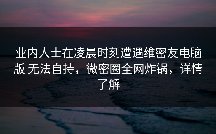业内人士在凌晨时刻遭遇维密友电脑版 无法自持，微密圈全网炸锅，详情了解