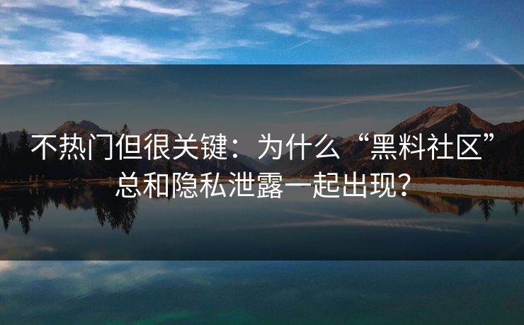 不热门但很关键：为什么“黑料社区”总和隐私泄露一起出现？