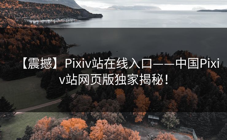【震撼】Pixiv站在线入口——中国Pixiv站网页版独家揭秘！