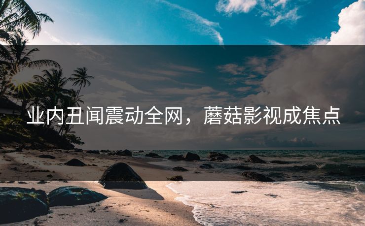 业内丑闻震动全网，蘑菇影视成焦点