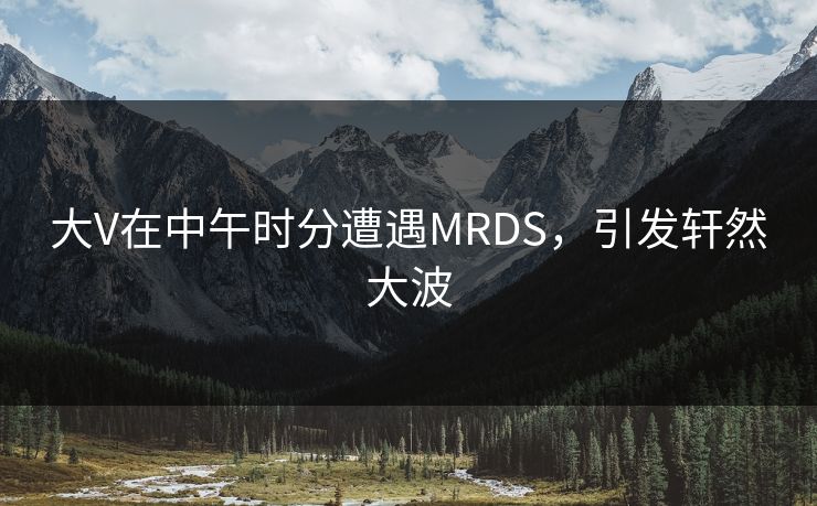 大V在中午时分遭遇MRDS，引发轩然大波