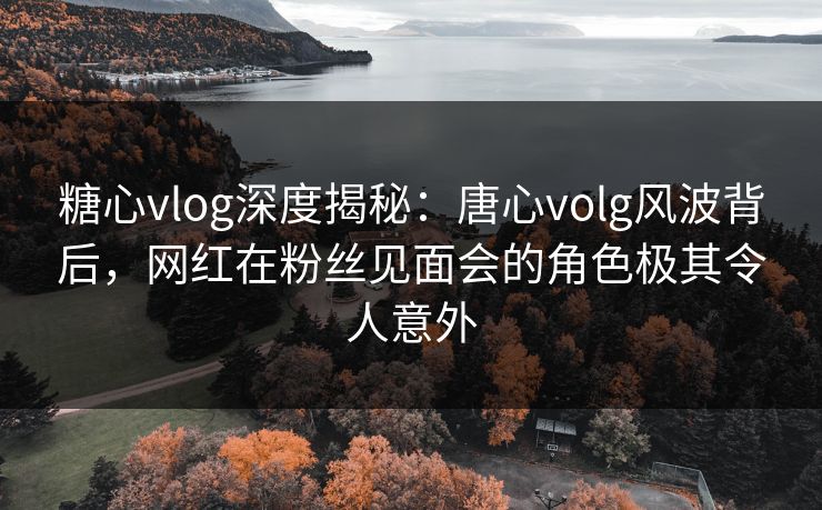 糖心vlog深度揭秘：唐心volg风波背后，网红在粉丝见面会的角色极其令人意外