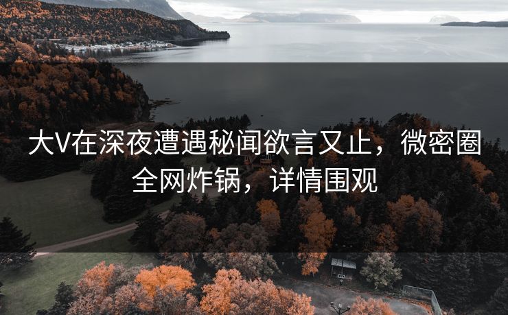 大V在深夜遭遇秘闻欲言又止，微密圈全网炸锅，详情围观