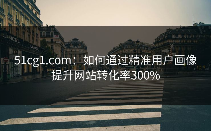 51cg1.com:如何通过精准用户画像提升网站转化率300% 51cg1.com:如何通过精准用户画像提升网站转化率300%