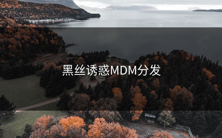 黑丝诱惑MDM分发